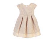 Sweet Kids Baby Girls Champagne Vintage Lace Pleated Occasion Dress 24M