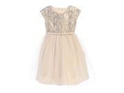 Sweet Kids Big Girls Champagne Sequin Top Overlaid Occasion Dress 8