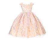 Little Girls Champagne Floral Lace Overlay Beaded Waist Occasion Dress 4