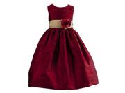 Crayon Kids Little Girls Red Flower Sash Poly Silk Special Occasion Dress 3T