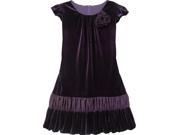 Little Girls Violet Purple Velour Drop Waist Ruffle Flower Party Dress 2T