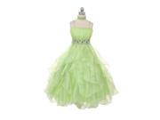 Chic Baby Lime Green Organza Special Occasion Dress Girls 6