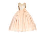 Big Girls Champagne Corsage Sequin Shiny Tulle Occasion Dress 8