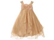 Kids Dream Big Girls Gold Shiny Chiffon Special Occasion Dress 11 12