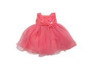 Baby Girls Coral Embroidered Floral Adorned Flower Girl Dress 12M