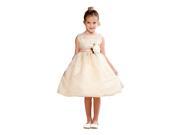 Crayon Kids Little Girls Taupe Floral Accent Sparkle Flower Girl Dress 2T