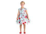 Sweet Kids Big Girls Blue Rose Chiffon Petal Cap Sleeve Easter Dress 10
