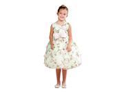 Crayon Kids Little Girls Mint Floral Print Bow Brooch Flower Girl Dress 3T