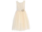 Sweet Kids Big Girls Ivory Ornate Jacquard Tulle Junior Bridesmaid Dress 10