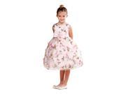 Crayon Kids Little Girls Pink Floral Print Bow Brooch Flower Girl Dress 4T