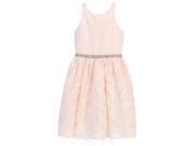 Sweet Kids Big Girls Pink Feather Patch Mesh Cocktail Flower Girl Dress 7