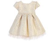 Sweet Kids Baby Girls Ivory Pleated Jacquard Tulle Flower Girl Dress 24M