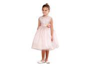 Crayon Kids Little Girls Blush Floral Accent Sparkle Flower Girl Dress 3T