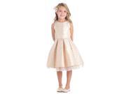 Sweet Kids Little Girls Blush Pleated Jacquard Tulle Flower Girl Dress 5