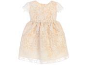 Sweet Kids Baby Girls Champagne Floral Embroidered Flower Girl Dress 24M