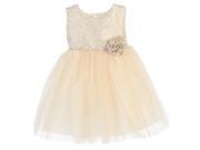 Sweet Kids Baby Girls Ivory Ornate Jacquard Tulle Flower Girl Dress 24M