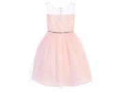 Sweet Kids Big Girls Pink Sparkle Feather Patch Mesh Easter Dress 10