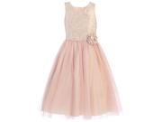 Sweet Kids Big Girls Pink Rosette Ornate Jacquard Tulle Easter Dress 10