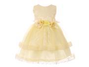 Baby Girls Yellow Lace Trim Double Layered Tulle Flower Girl Dress 18M