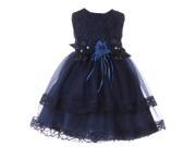 Baby Girls Navy Lace Trim Double Layered Tulle Flower Girl Dress 12M