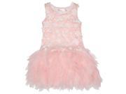 Biscotti Little Girls Pink Flower Detailed Fluffy Netting Easter Dress 3T