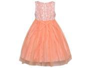 Little Girls Coral Floral Lace Glitter Waist Overlaid Sleeveless Dress 6X