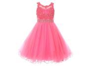 Little Girls Bubble Pink Rhinestone Pearl Beaded Mesh Flower Girl Dress 4