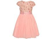 Bonnie Jean Little Girls Pink Floral Pattern Ribbon Short Sleeve Dress 4