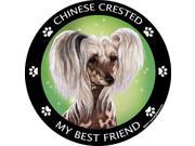 Chinese Crested Hairless Best Friend Car Refrigerator Magnet