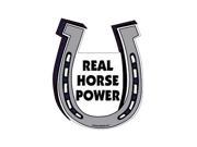 Real Horse Power Horse Shoe Shaped Car Magnet