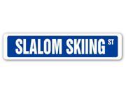 SLALOM SKIING Street Sign race racer competition gates poles supplies gift