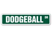 DODGEBALL Street Sign dodge ball team coach player gift net goal