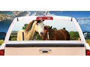 HORSE FRIENDS 16 x 54 Rear Window Graphic truck view thru vinyl decal back pickup