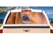 HORSES 3 Rear Window Graphic decal tint truck horse view thru vinyl