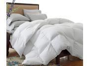 Superior All season Plushy Down Alternative Comforter Top Quality Twin Twin XL White