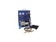 Mastercool 91580 B Portable Charging Station with 3 CFM Economy Vacuum Pump
