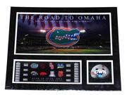 Florida Gators RTF The Road to Omaha 2012 College World Series Suede Print 16X20