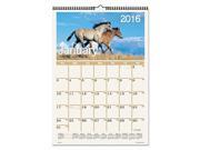 AT A GLANCE Horses Monthly Wall Calendar 12 x 17 2016