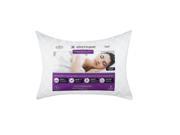 AllerEase Ultimate Protection and Comfort Down Alternative Pillow Standard
