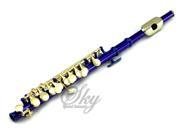 Sky Band Approved Purple Laquer with Gold Keys Piccolo Key of C with Hard Case Cloth Cleaning Rod Joint Greasae and Screw Driver Guarantee Top Quality Sound