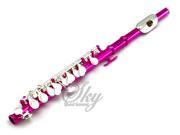 Sky Band Approved Hot Pink Laquer with Silver Keys Piccolo Key of C with Hard Case Cloth Cleaning Rod Joint Greasae and Screw Driver Guarantee Top Quality S