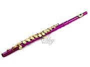 Sky Hot Pink Lacquer Gold Keys Closed Hole C Flute with 1 Year Manufacturer Warranty Guarantee Top Quality Sound with Lightweight Case Cleaning Rod Cloth Jo