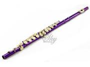 Sky Purple Lacquer Gold Keys Closed Hole C Flute with 1 Year Manufacturer Warranty Guarantee Top Quality Sound with Lightweight Case Cleaning Rod Cloth Join
