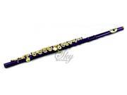 Sky Purple Lacquer Gold Keys Open Hole C Flute with 1 Year Manufacturer Warranty Guarantee Top Quality Sound with Lightweight Case Cleaning Rod Cloth Joint