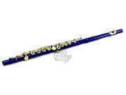 Sky Blue Lacquer Gold Keys Open Hole C Flute with 1 Year Manufacturer Warranty Guarantee Top Quality Sound with Lightweight Case Cleaning Rod Cloth Joint Gr
