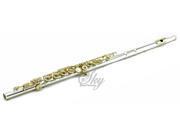 Sky Silver Plated Gold Keys Open Hole C Flute with 1 Year Manufacturer Warranty Guarantee Top Quality Sound with Lightweight Case Cleaning Rod Cloth Joint G