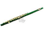Sky Green Lacquer Gold Keys Closed Hole C Flute with 1 Year Manufacturer Warranty Guarantee Top Quality Sound with Lightweight Case Cleaning Rod Cloth Joint
