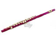 Sky Hot Pink Lacquer Gold Keys Open Hole C Flute with 1 Year Manufacturer Warranty Guarantee Top Quality Sound with Lightweight Case Cleaning Rod Cloth Join