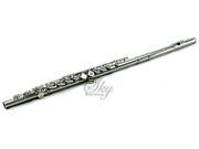 Sky Nickel Plated Silver Keys Open Hole C Flute with 1 Year Manufacturer Warranty Guarantee Top Quality Sound with Lightweight Case Cleaning Rod Cloth Joint