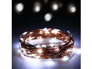 32.8FT 100LED Copper Battery Christmas Outdoor Strip Lamp String Fairy Light 4.5V